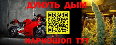 гидра Рязань