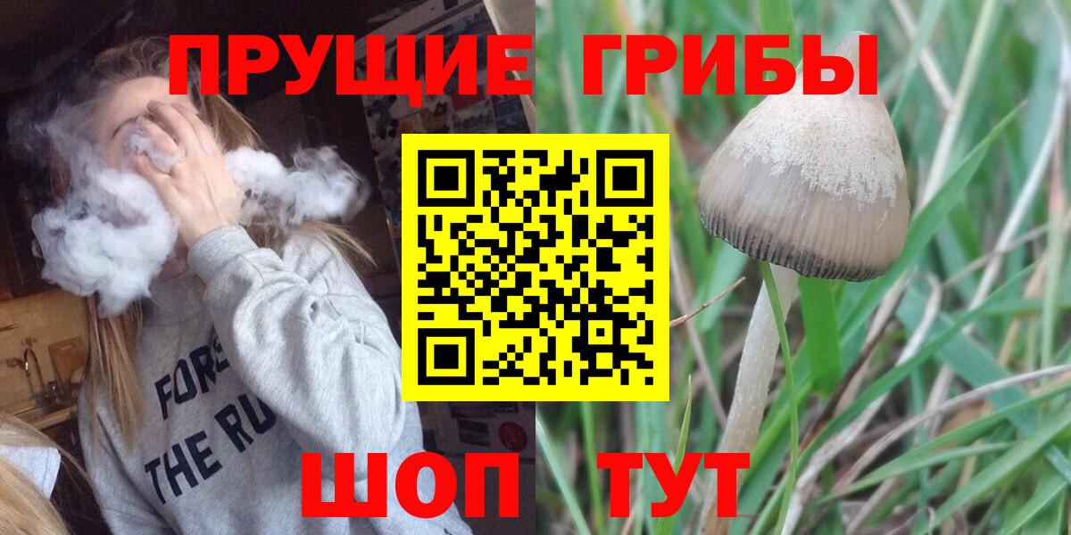 Сарапул  Галлюциногенные грибы MAGIC MUSHROOMS  Вход с VPN 